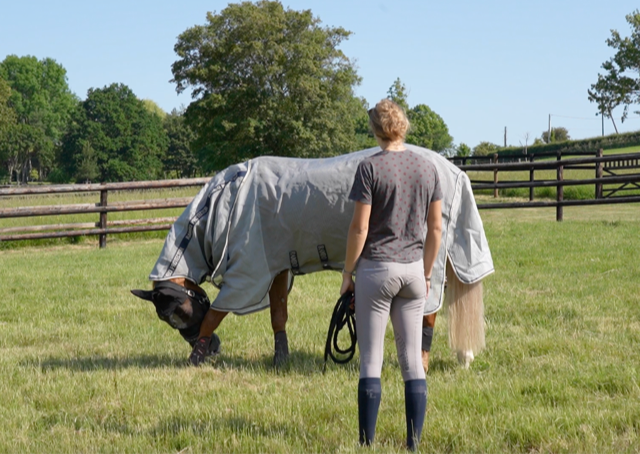 PADD advices horse well being